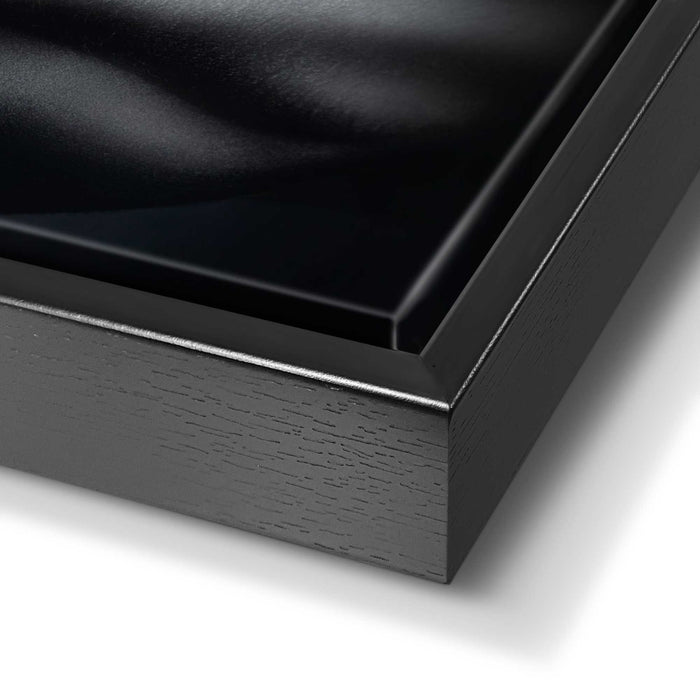 Reinders - Golden Feathers - Baklijst Schilderij 118x70cm Zwart