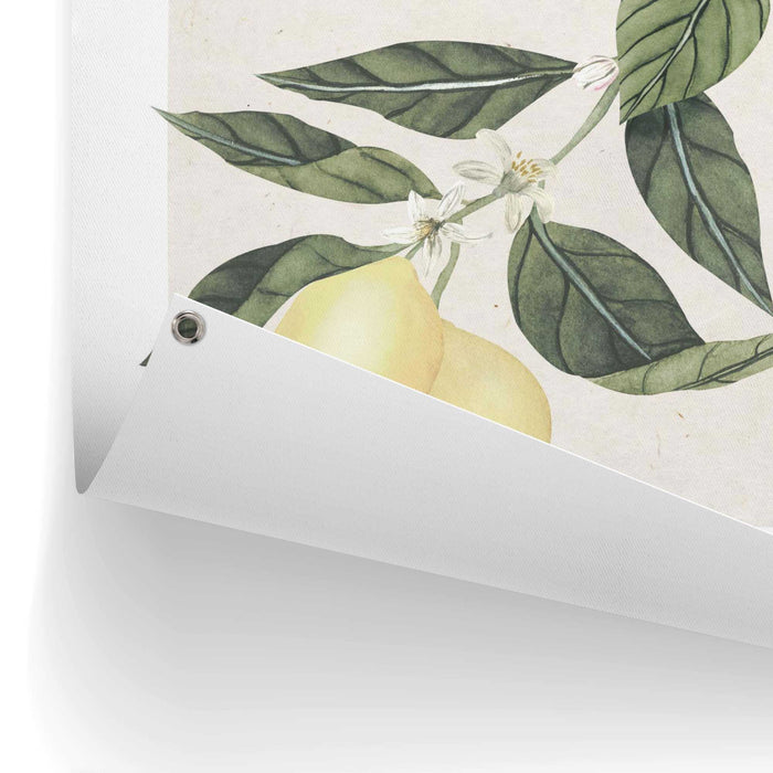 94203_10.jpg (9157212)