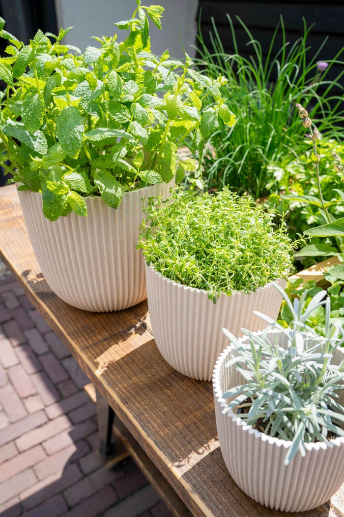 0f8a01ee-5818-49dd-ada5-3a104cbbf48c-afbeelding4.jpg (9158539)