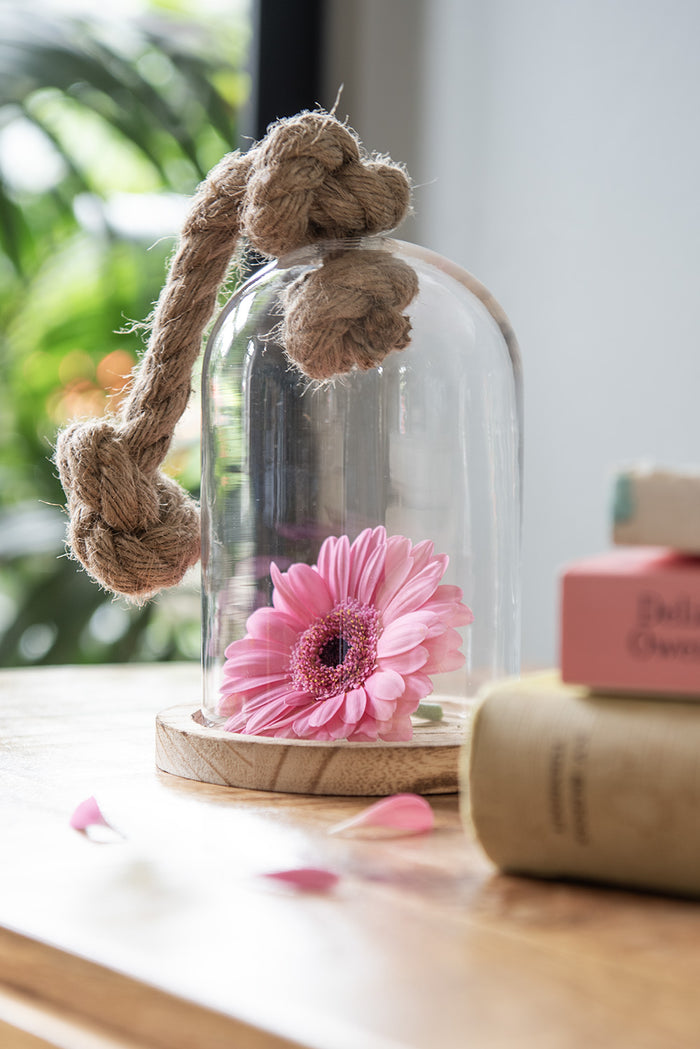 697fc38b-8be9-4993-81c0-f991a6356be7-afbeelding11.jpg (9158923)