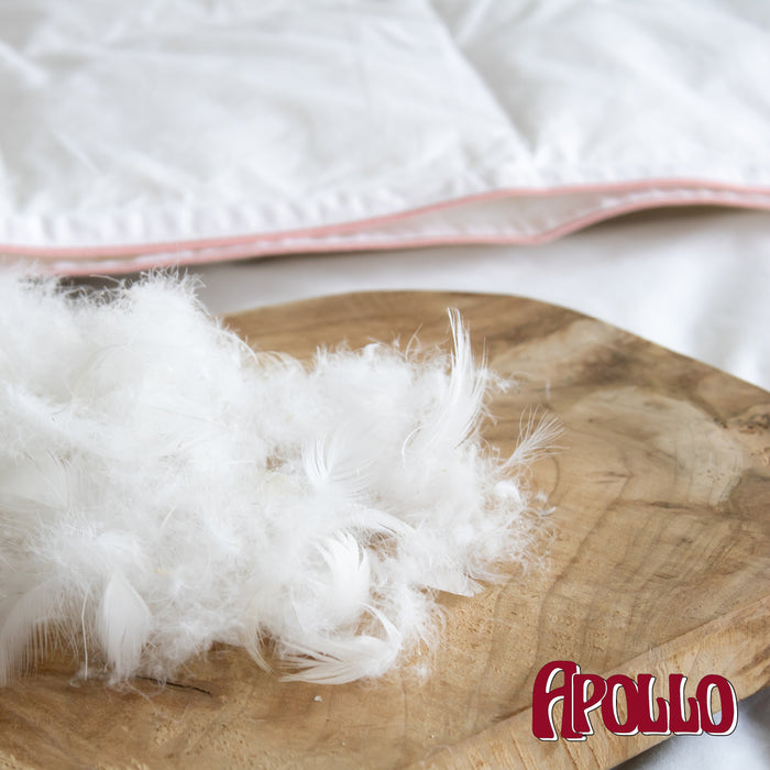 Apollo - Voldonzen Eendendons - 4-Seizoenen Dekbed - 200x200cm