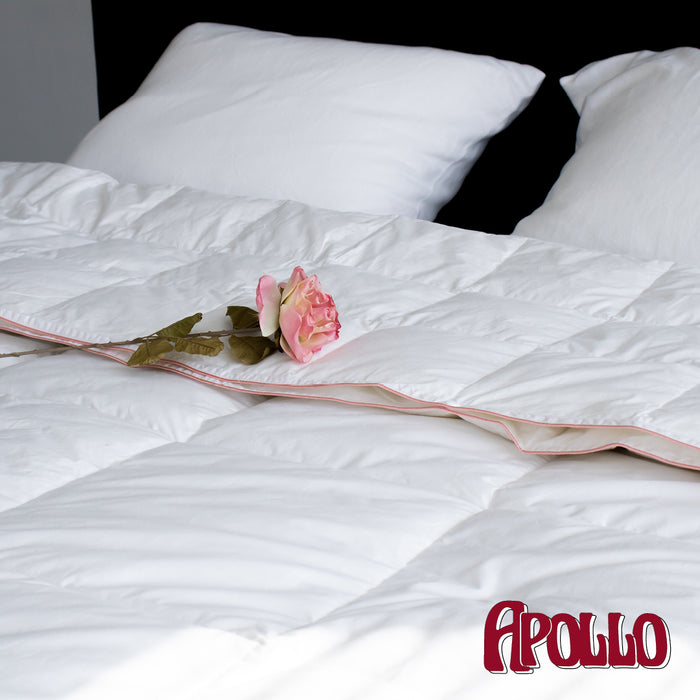Apollo - Voldonzen Eendendons - 4-Seizoenen Dekbed - 200x200cm
