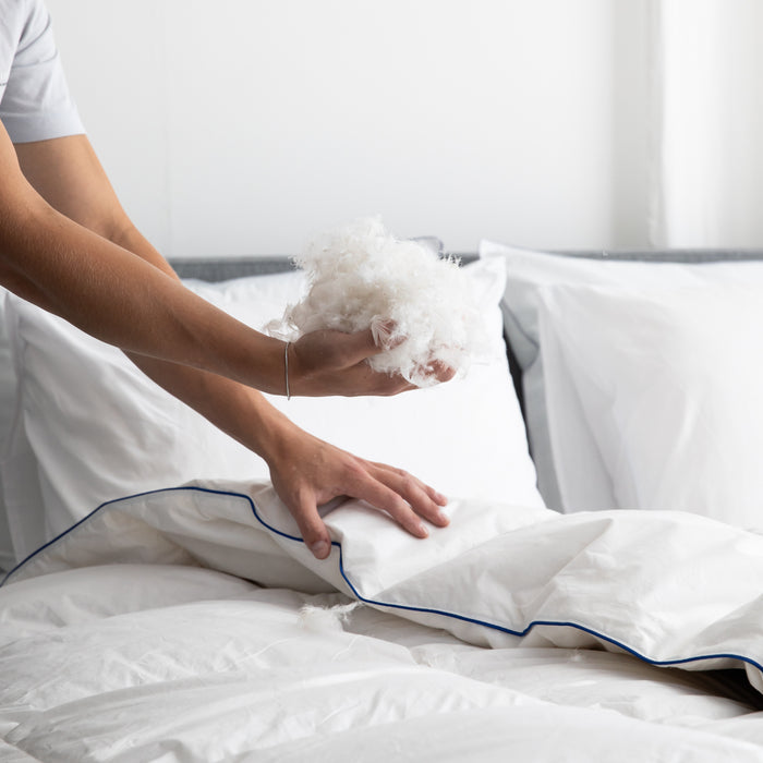 Fabiola - Zwaar Dons - Winter Dekbed - 240x200cm