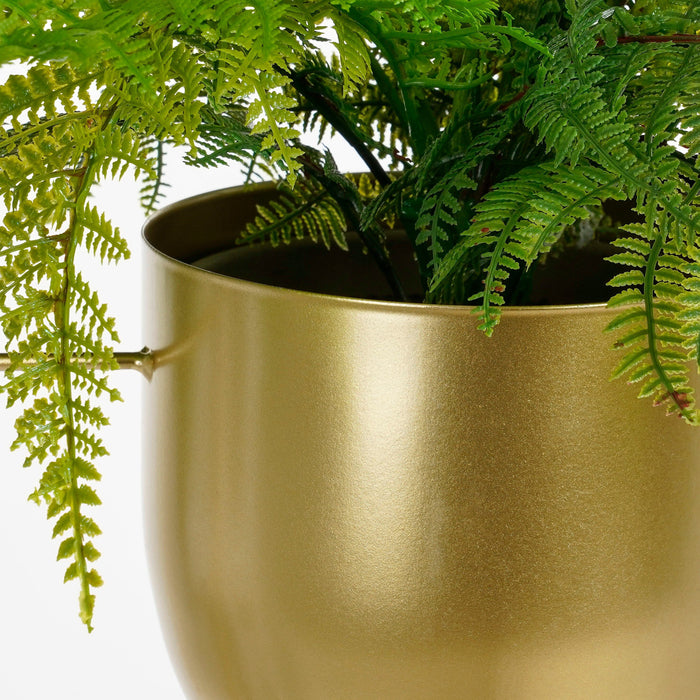 5d9e69e6-30e9-43fa-bfcc-f4e225f797d7-afbeelding6.jpg (9187407)