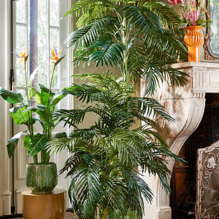 5cc47db0-732c-4236-b177-265bccbc8924-afbeelding8.jpg (9187567)