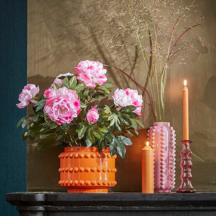 5cc47db0-732c-4236-b177-265bccbc8924-afbeelding9.jpg (9187570)