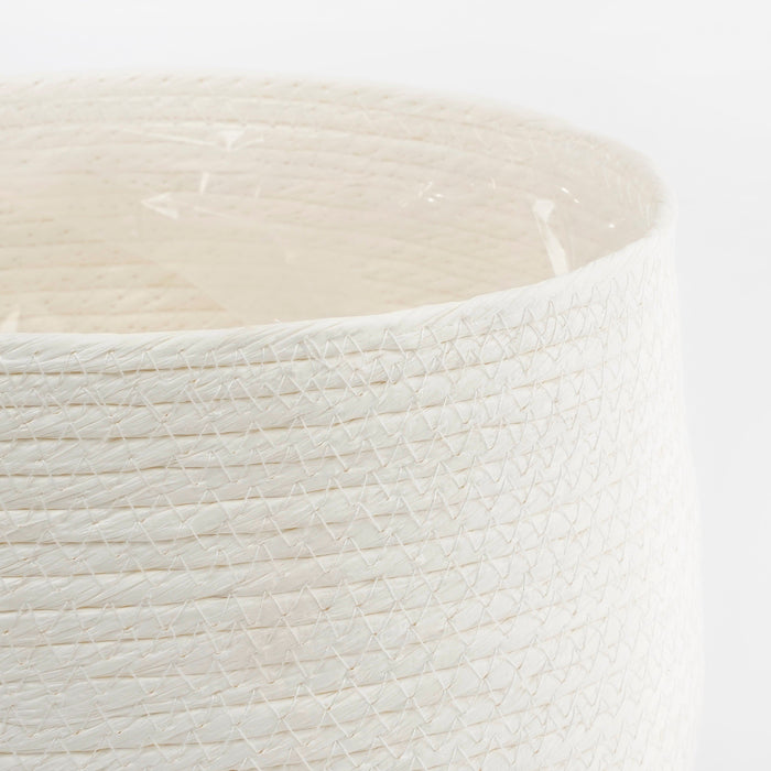 e184f774-d600-4522-b59e-6d6bee4a29c7-afbeelding3.jpg (9187965)