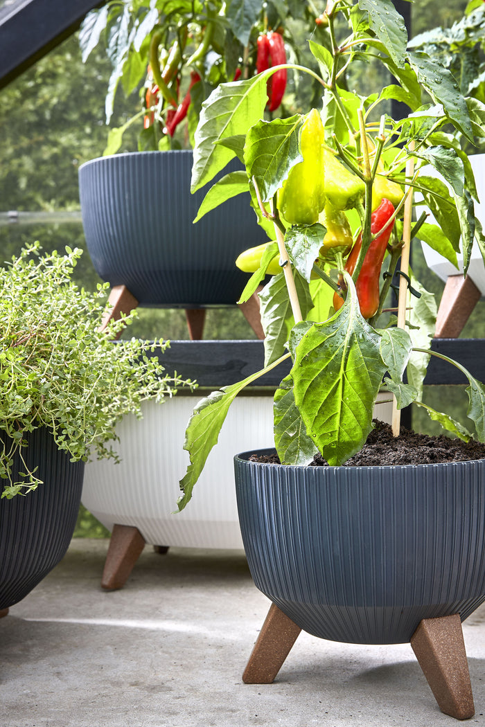 91d43652-e810-46ca-be03-c9f14616811e-sfeerbeeld.jpg (9188095)