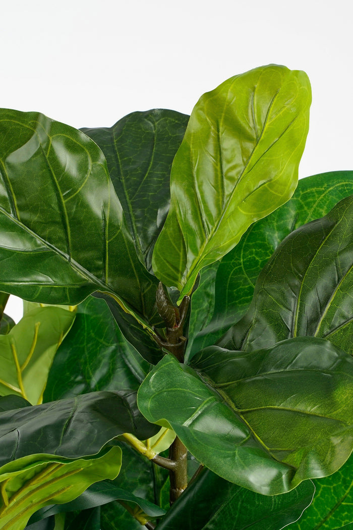 d7373821-bdb8-41b1-ab5f-5ade9538aef7-afbeelding3.jpg (9188219)