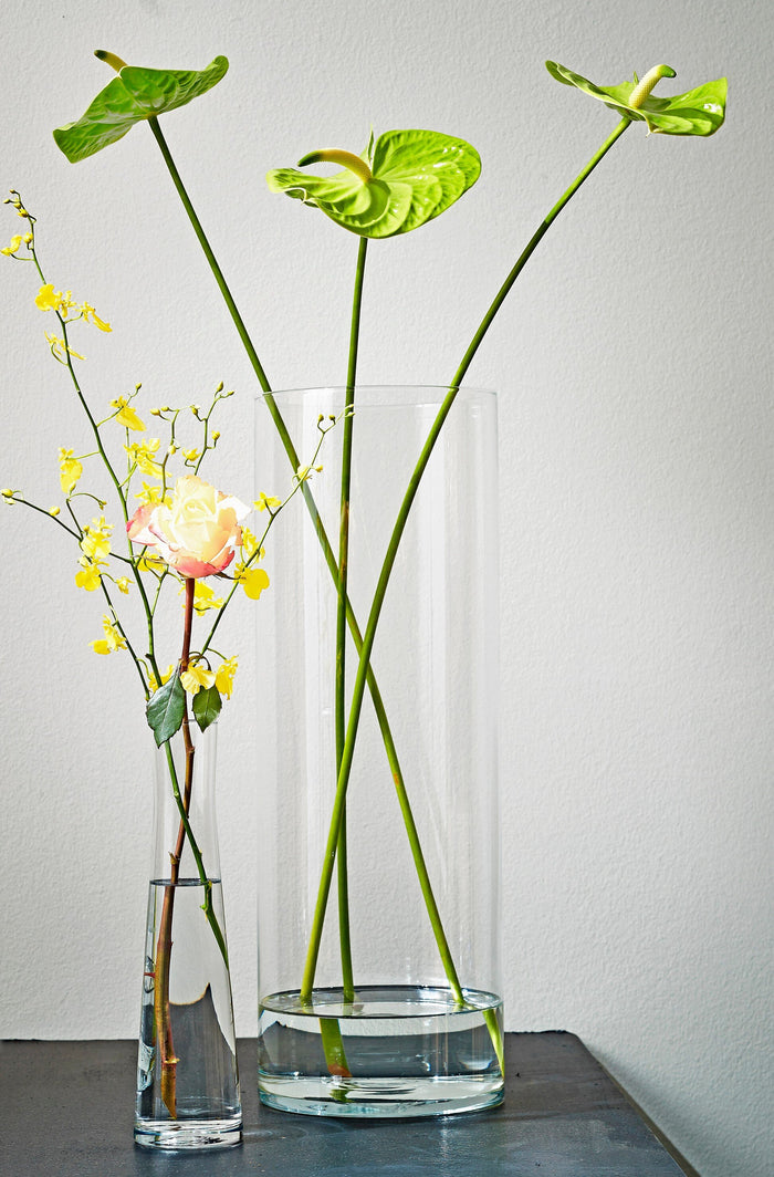 Mica Decorations Carly Vaas - H48 x Ø19 cm - Cylinder - Transparant