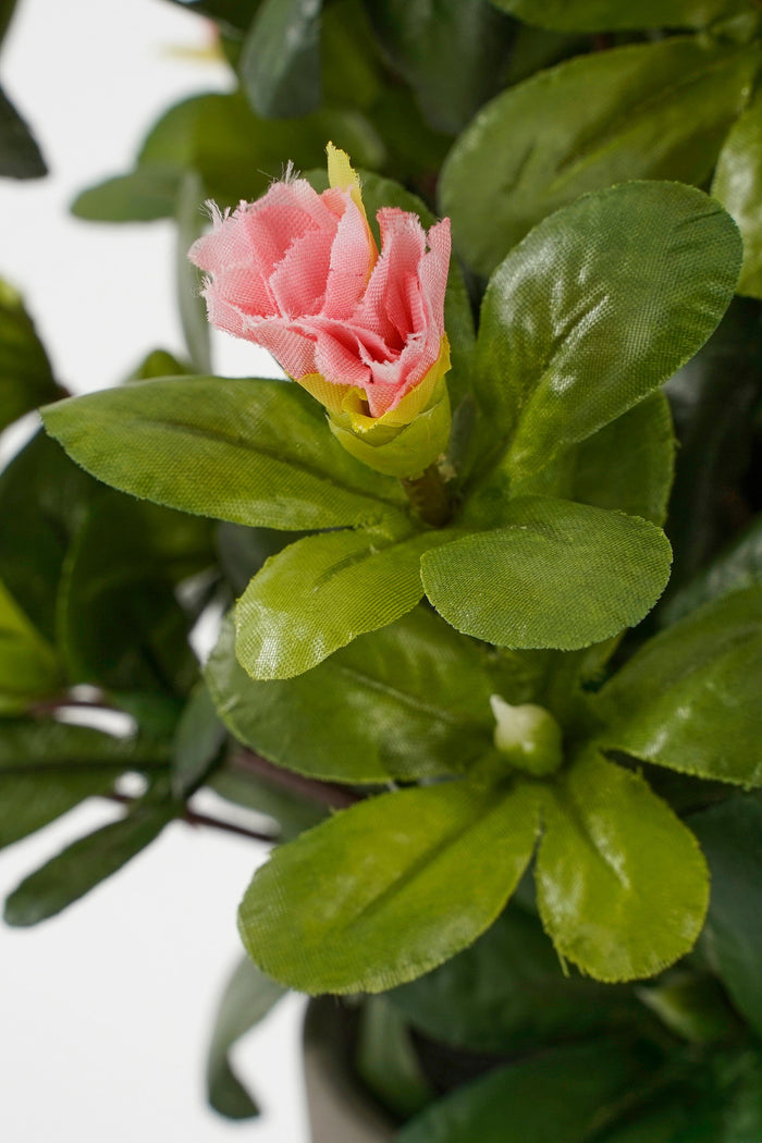 Mica Decorations Azalea Kunstplant - H31 x Ø26 cm - Perzik