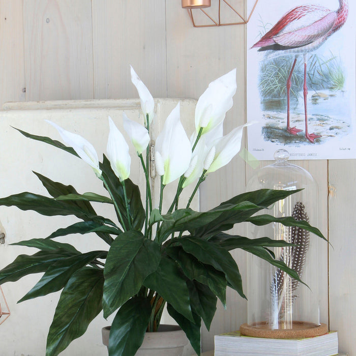 Mica Decorations Spathiphyllum Kunstplant - H50 x Ø40 cm - Wit