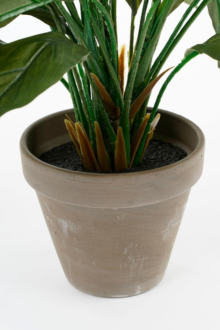Mica Decorations Spathiphyllum Kunstplant - H50 x Ø40 cm - Wit