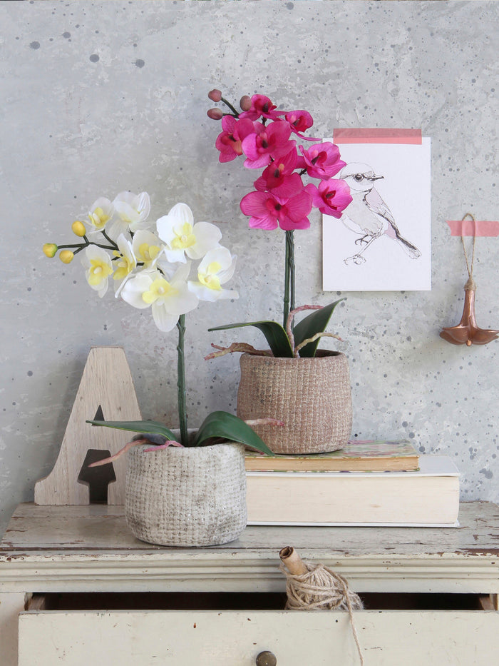 Mica Decorations Phalaenopsis Kunstplant - H48 x Ø13 cm - Wit