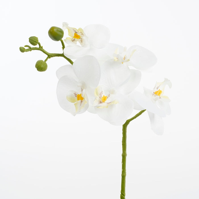 Mica Decorations Phalaenopsis Kunstplant - H48 x Ø13 cm - Wit