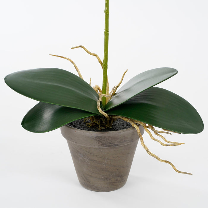 Mica Decorations Phalaenopsis Kunstplant - H48 x Ø13 cm - Wit