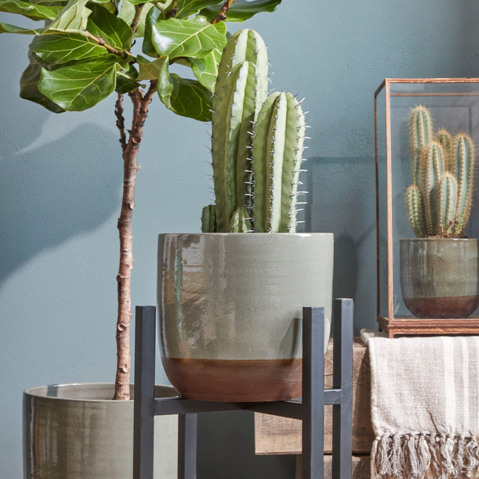 f9cb8e08-afee-4cb4-a75c-793450fff58c-afbeelding9.jpg (9190747)