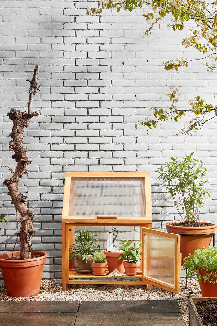 Mica Decorations Caminia Kweekkas S - L60 x B42 x H77 cm- Mahoniehout