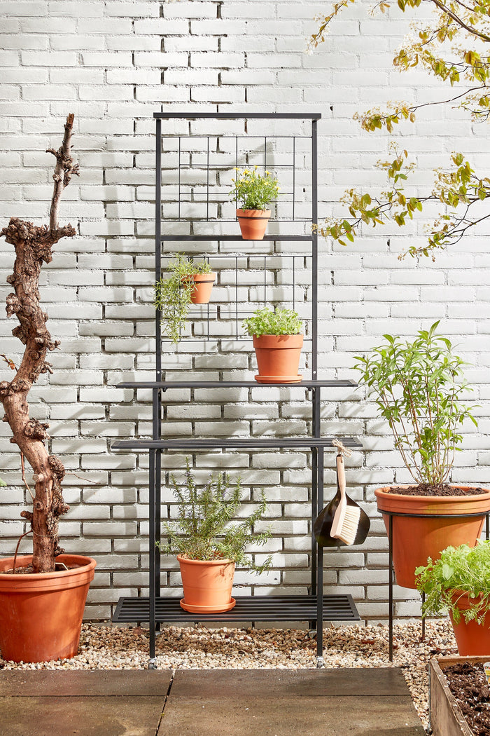 89980ff2-a889-4685-bf4d-07d0cc136d8c-sfeerbeeld.jpg (9192121)