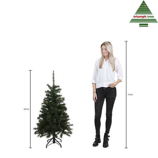 Triumph Tree Forest Frosted Kunstkerstboom - H120 x Ø99 cm - Groen