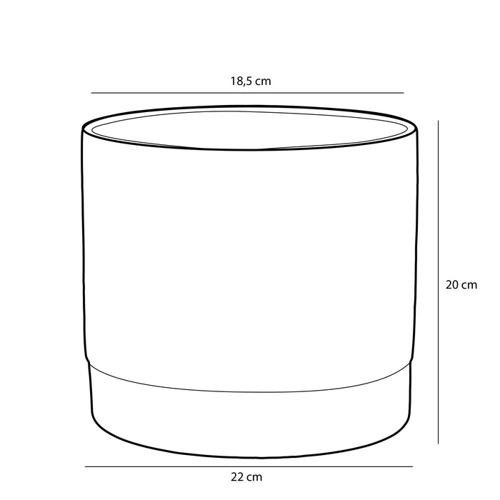 918a6c11-f2a2-4854-8281-c19db3188ef8-afbeelding10.jpg (9196121)