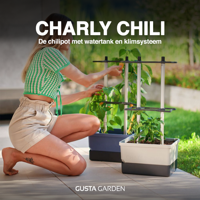 Gusta Garden - Charly Chili - Chiliplanter met watertank