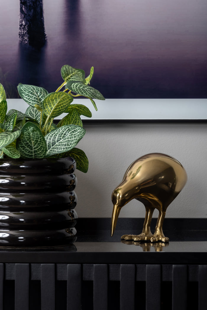 present time - Statue Kiwi Bird