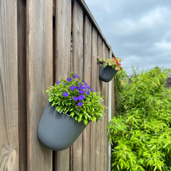 QUVIO Wand bloempot- Kunststof - Antraciet