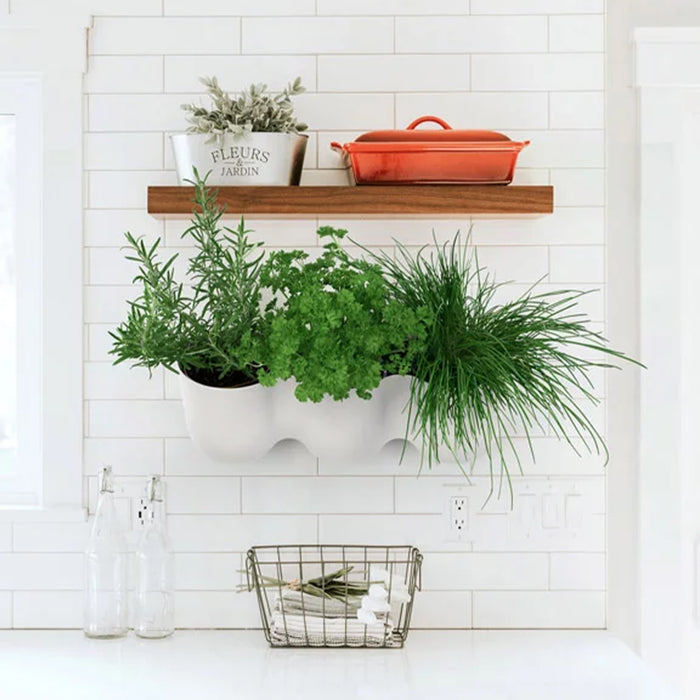 QUVIO Wand bloempot-trio plastic - Lichtblauw