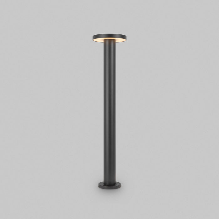 Maytoni Outdoor - Landschapsverlichting Wald - Grafiet - Ø18