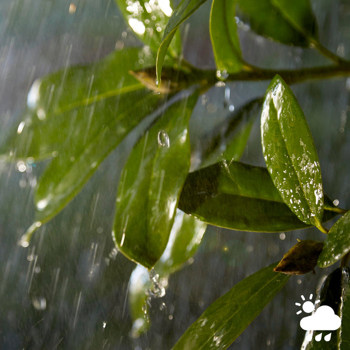 Philips Hue Inara muurlamp - warmwit licht - zwart