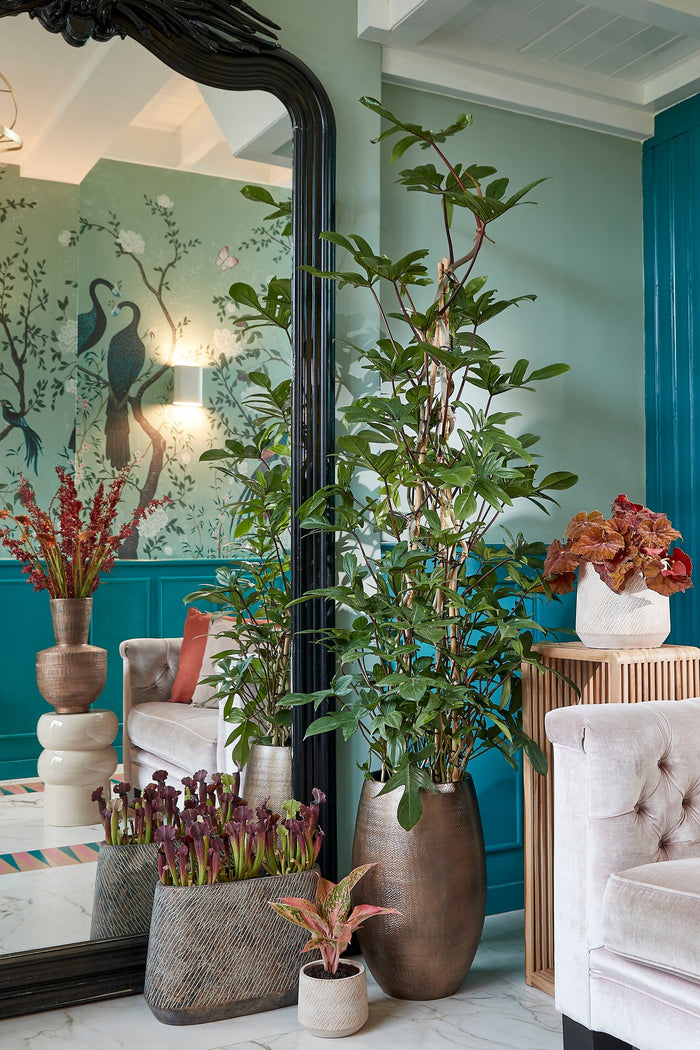 45c9943f-cc99-469b-b0c2-658a22e49671-afbeelding7.jpg (9334593)