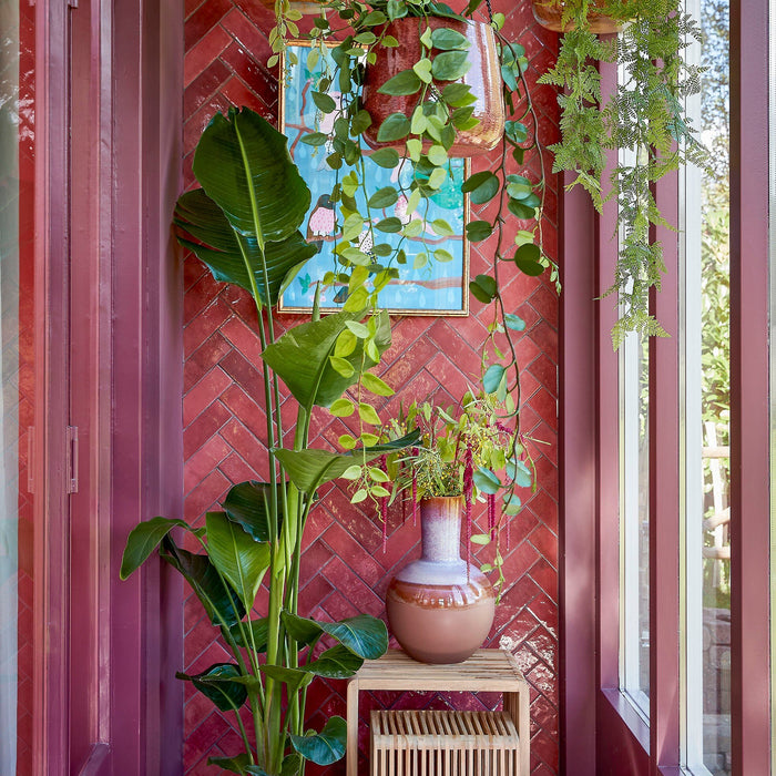 becc0da9-d2dd-4b4c-a569-18456644be17-afbeelding8.jpg (9334598)