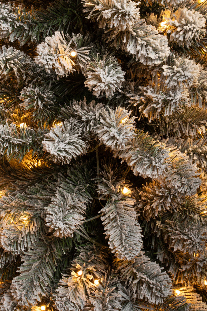 Black Box Trees Charlton Kunstkerstboom met Verlichting - H260