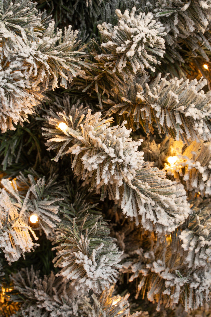 Black Box Trees Charlton Kunstkerstboom met Verlichting - H260