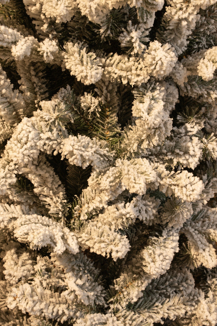 Black Box Trees Harma Kunstkerstboom - H260 x Ø73 cm - Groen Frosted