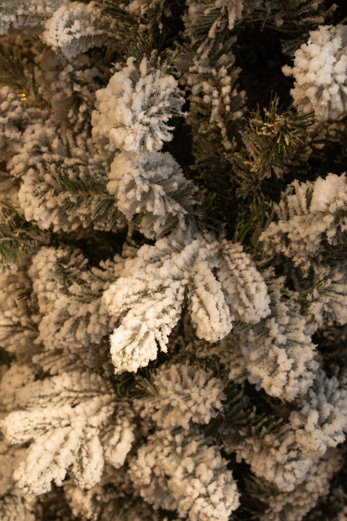 Black Box Trees Harma Kunstkerstboom - H260 x Ø73 cm - Groen Frosted