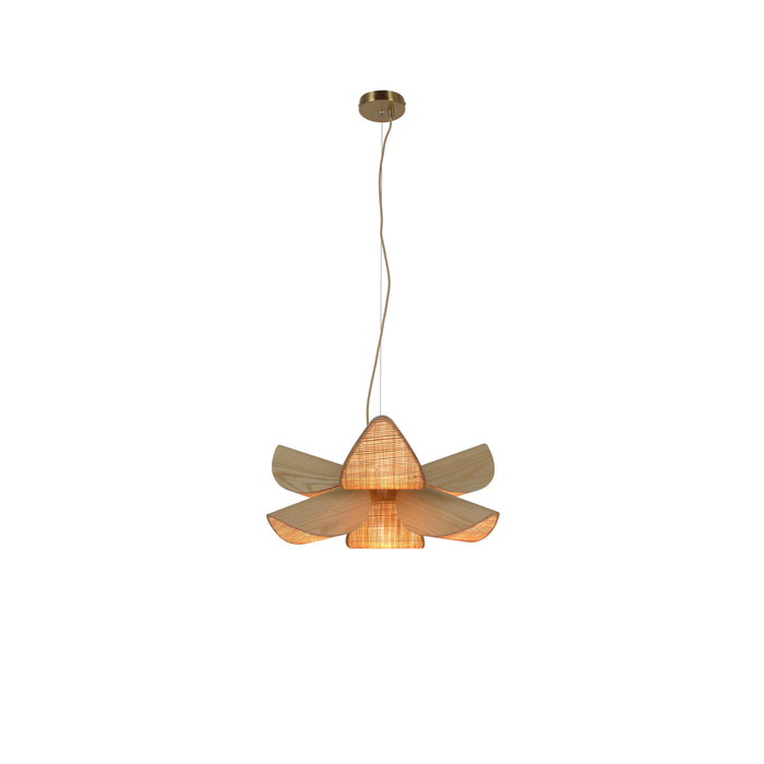 5a898038-c01e-428d-8ab6-661f2902cda6-afbeelding6.jpg (9600281)