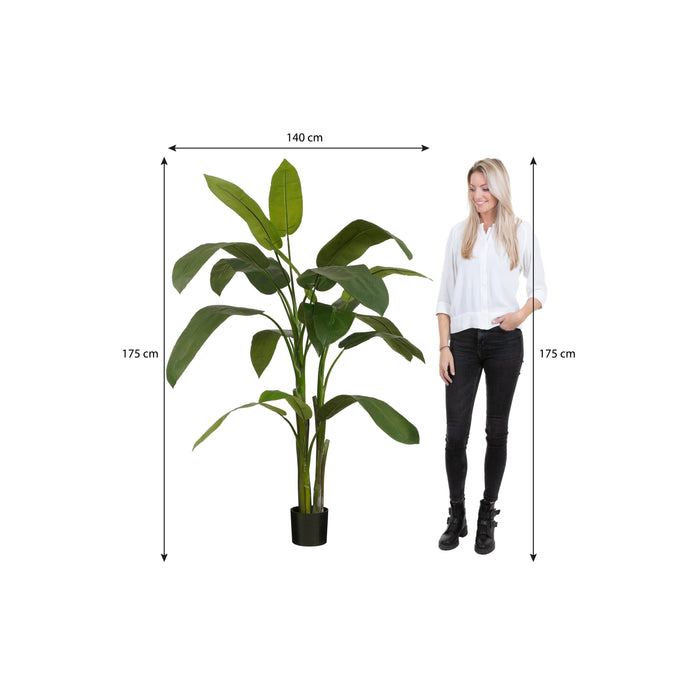 Mica Decorations Heliconia Kunstplant - H175 x Ø140 cm - Groen