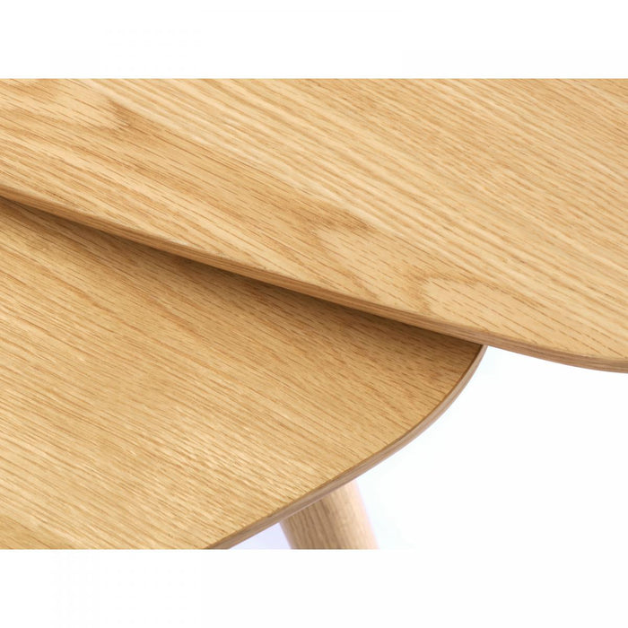 d45fd507-37d3-45db-9dad-8e2dc195d85f-afbeelding6.jpg (9676697)