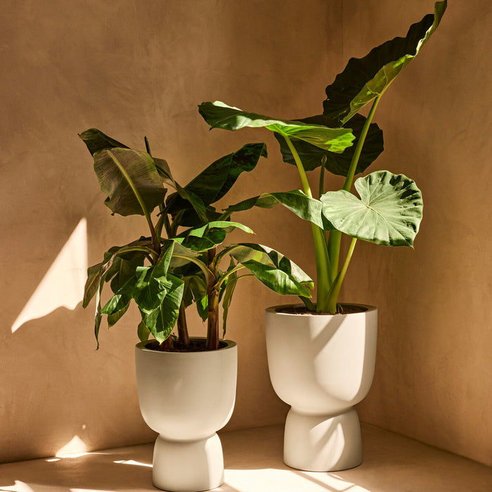 327625-x01-202412190540-A.jpg (9713821)