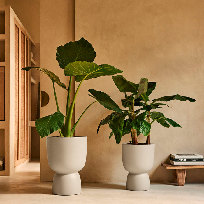 327625-x04-202412190541-A.jpg (9713824)