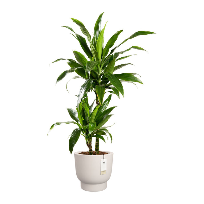 327634-x02-202412190541-C.jpg (9713852)