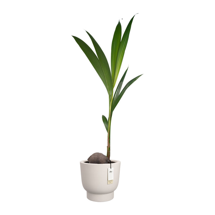 327634-x03-202412190540-C.jpg (9713853)