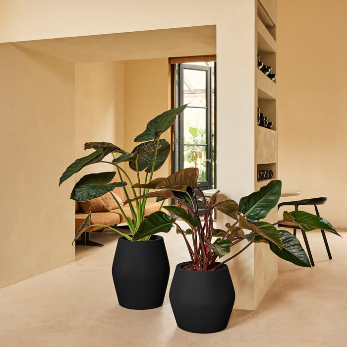 327640-x01-202412190541-A.jpg (9713874)