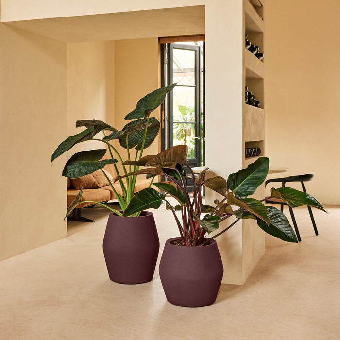 327644-x05-202412190541-A.jpg (9713898)