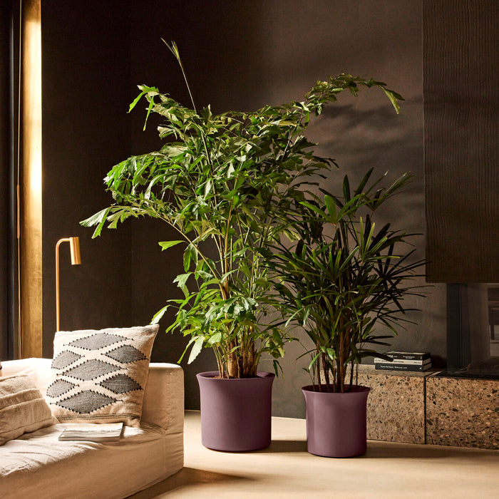 327651-x01-202412190541-A.jpg (9713918)