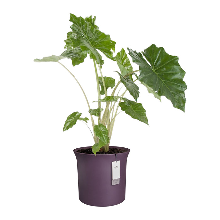 327654-x02-202412190540-C.jpg (9713930)