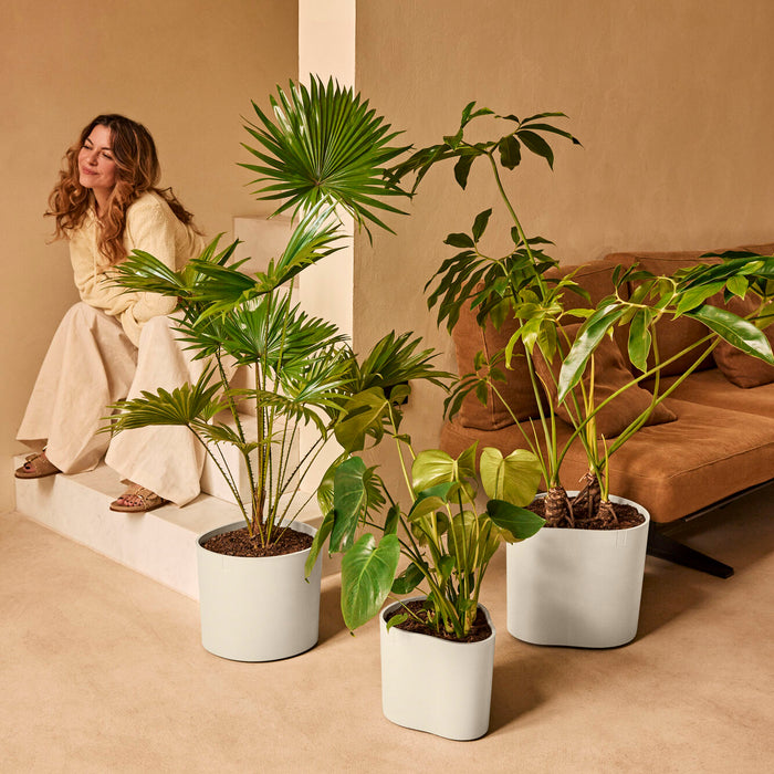 327659-x01-202412190540-A.jpg (9713952)