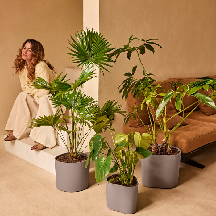 327662-x01-202412190541-A.jpg (9713963)